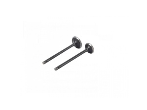 Set supape CG250