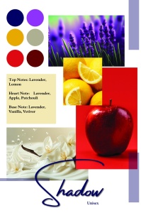 Shadow από τον Patric, eau de parfum 100 ml, ανδρικό - Img 10