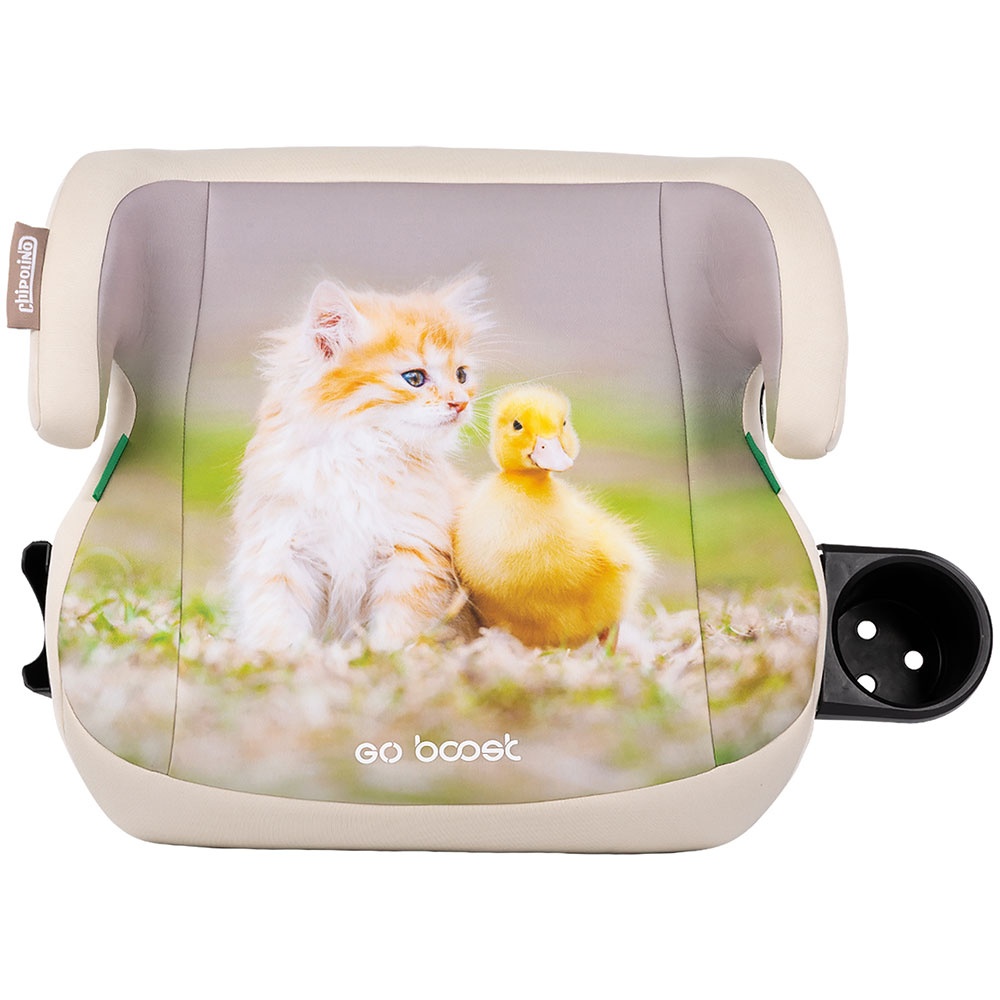 Aceasta este imaginea corespunzatoare acestui obiect