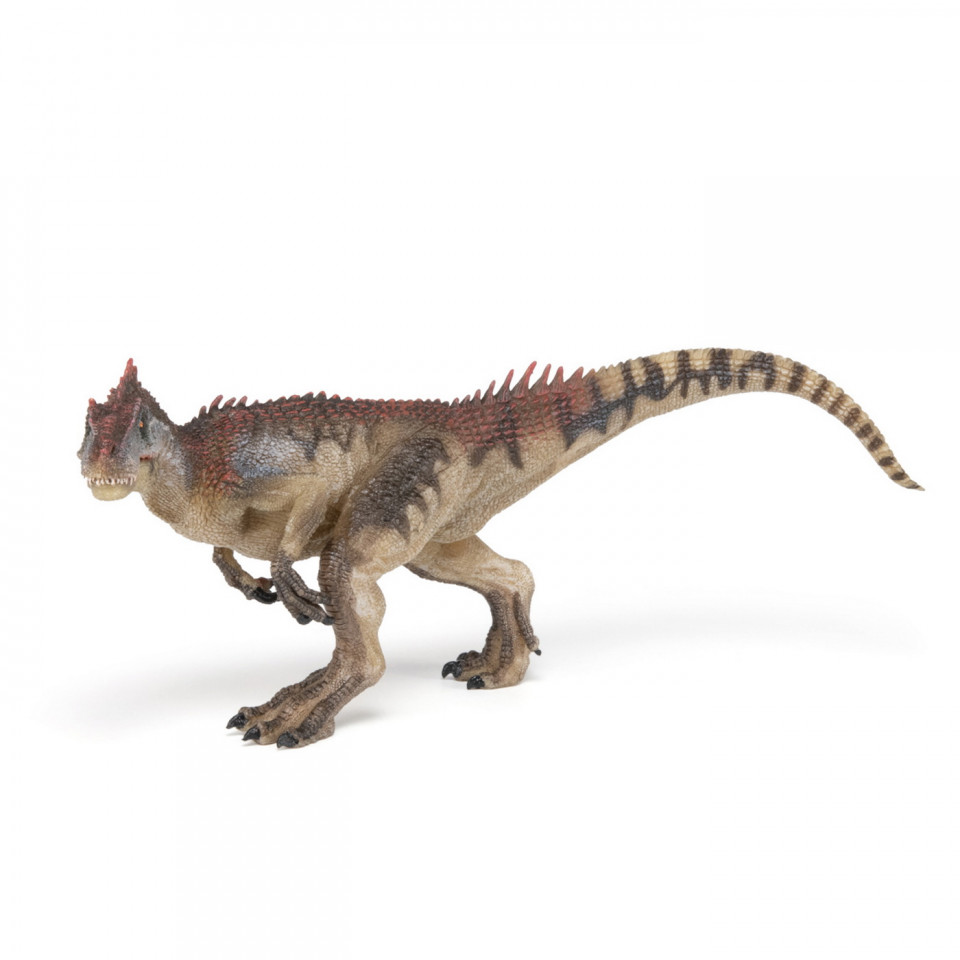 Papo Figurina Dinozaur Allosaurus - 2 | YEO