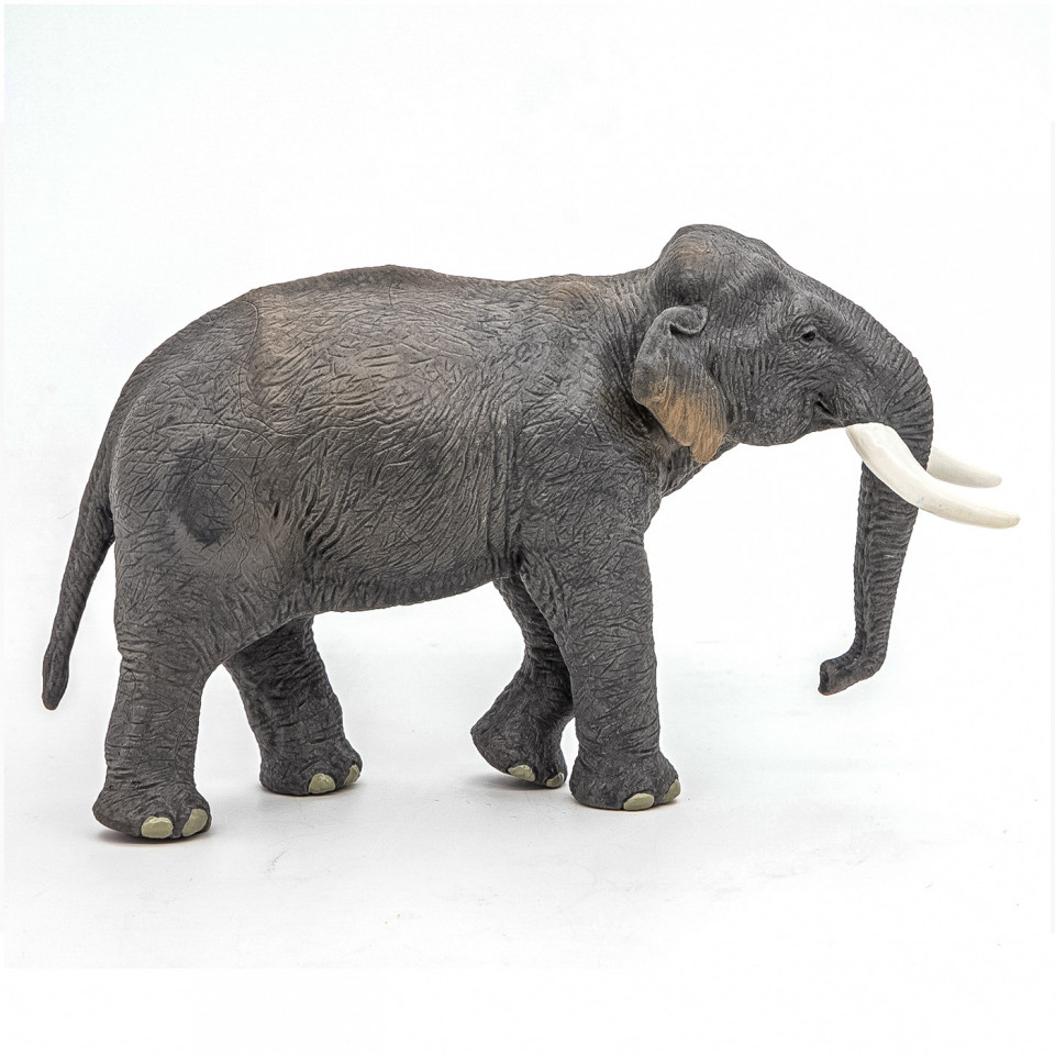 Papo Figurina Elefant Asiatic - 1 | YEO