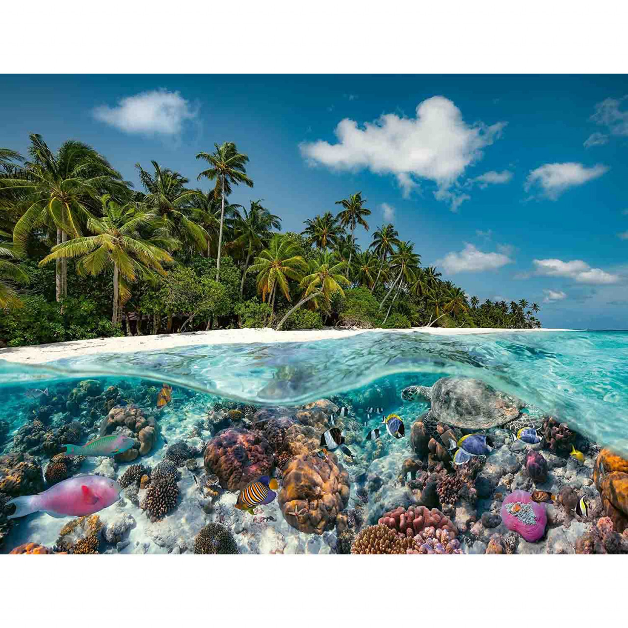 Puzzle Maldive, 2000 Piese - 1 | YEO