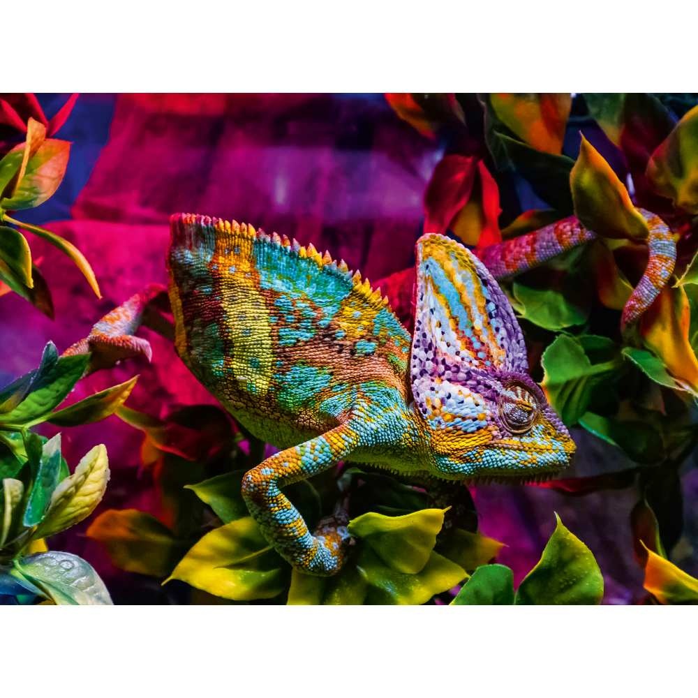 Ravensburger - Puzzle animale colorate cameleon 500 piese - 2 | YEO