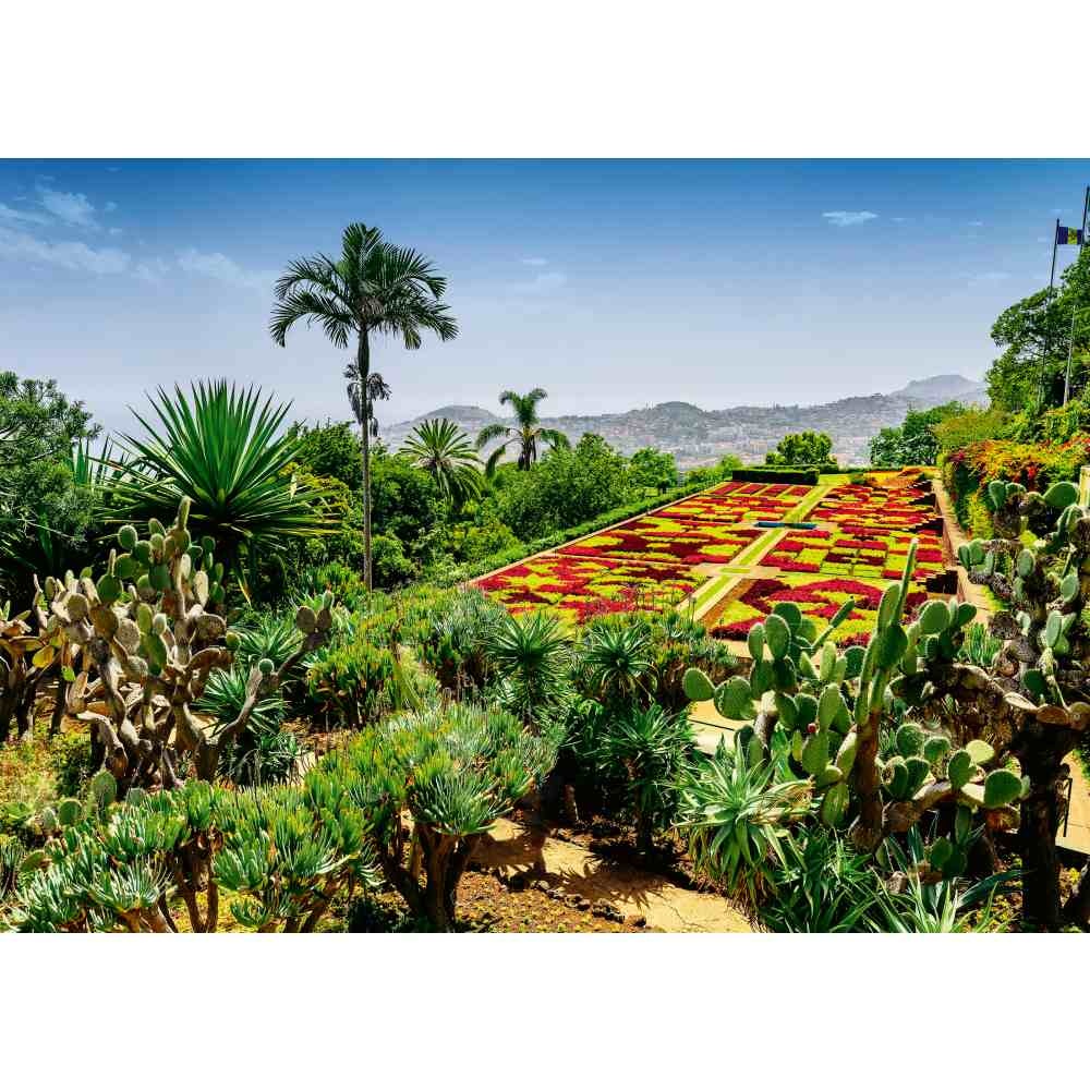 Ravensburger - Puzzle gradina botanica Madeira 1000 piese - 1 | YEO