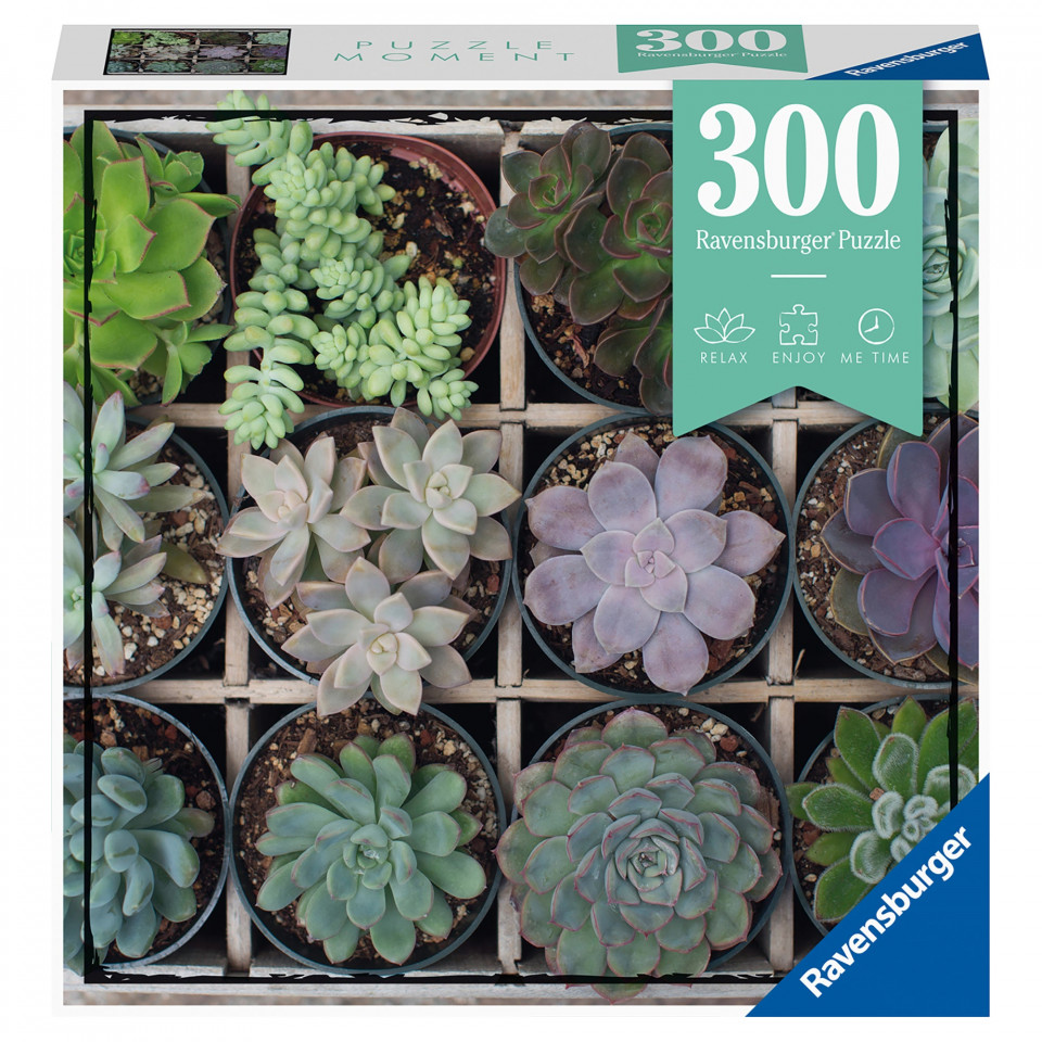 Puzzle Plante Suculente, 300 Piese - 4 | YEO