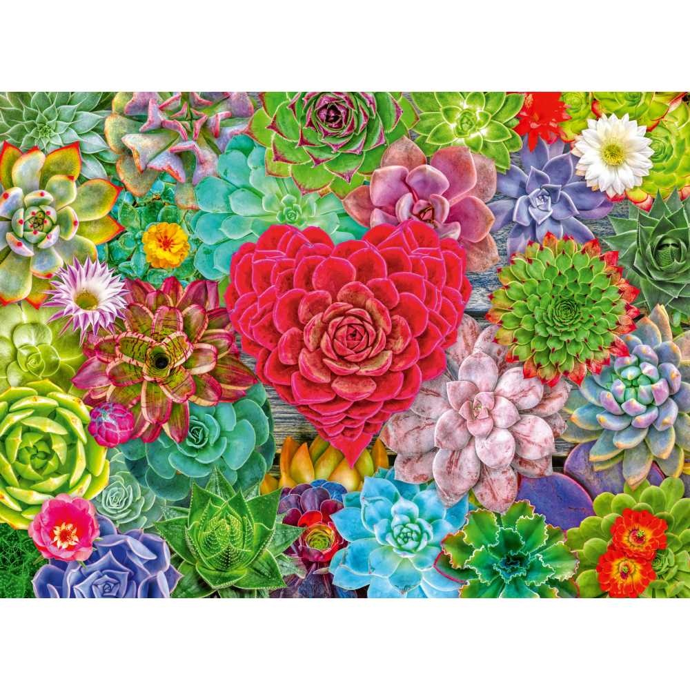 Ravensburger - Puzzle plante suculente 500 piese - 2 | YEO