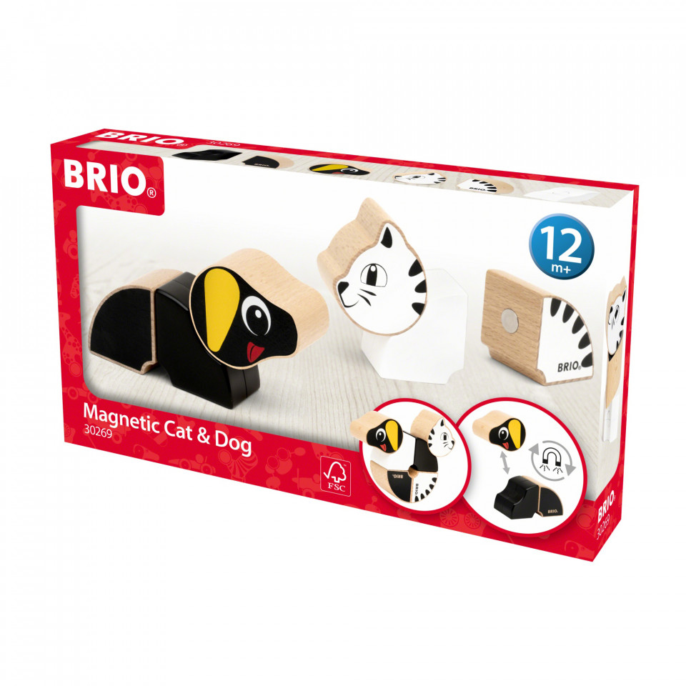 Brio - Catelus Si Pisicuta Magnetici - 1 | YEO