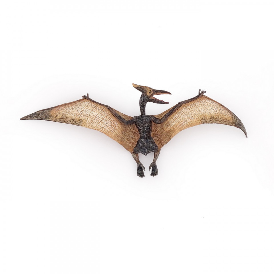 Papo Figurina Dinozaur Pteranodon - 3 | YEO