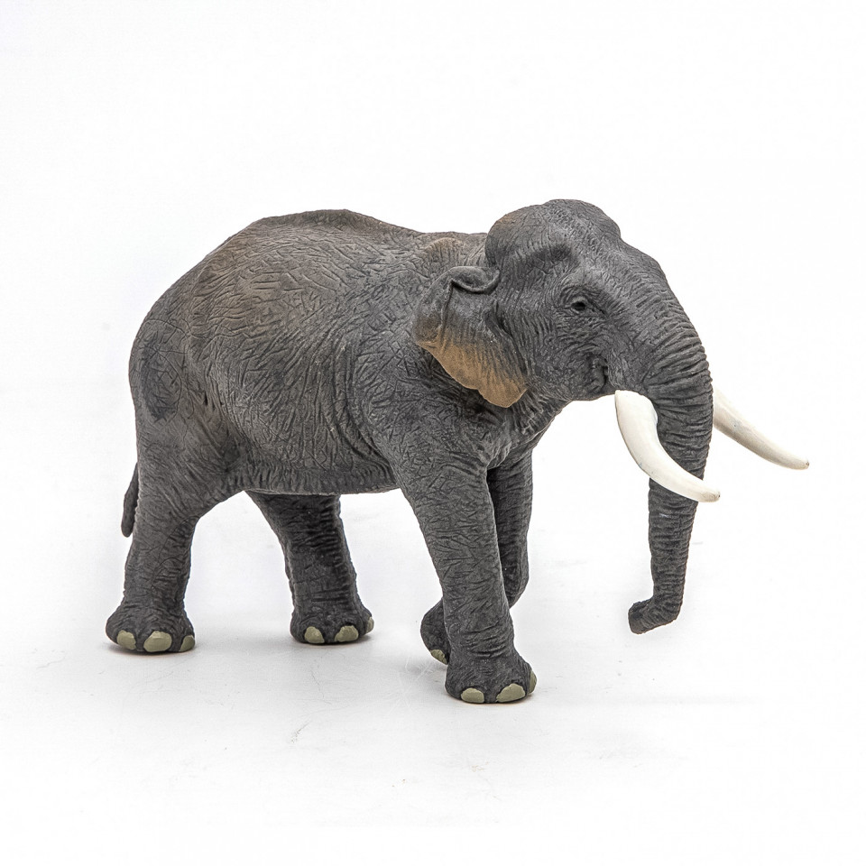 Papo Figurina Elefant Asiatic - 2 | YEO