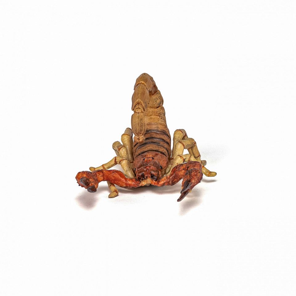 Papo Figurina Scorpion - 3 | YEO