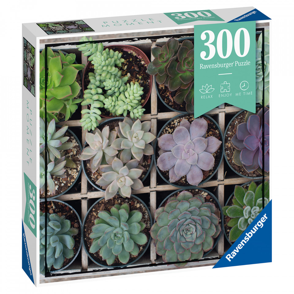 Puzzle Plante Suculente, 300 Piese - 2 | YEO