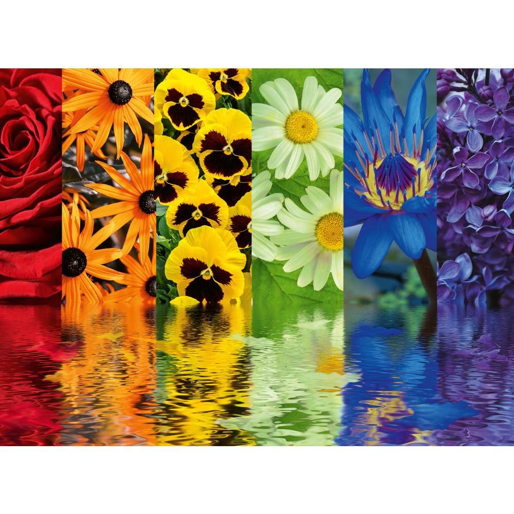 Ravensburger - Puzzle reflexia florilor 500 piese design nou - 1 | YEO