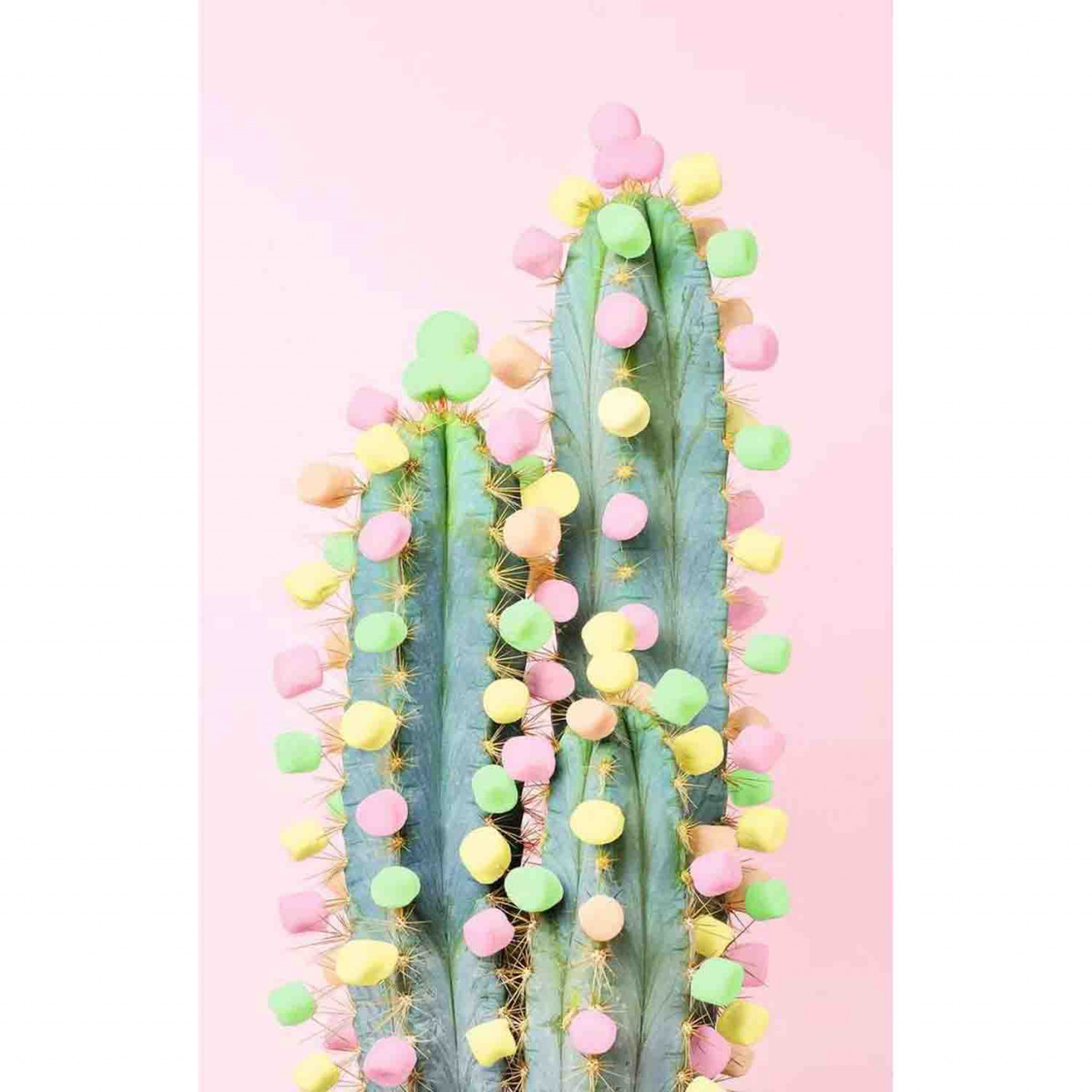 Puzzle Cactus, 200 Piese - 1 | YEO