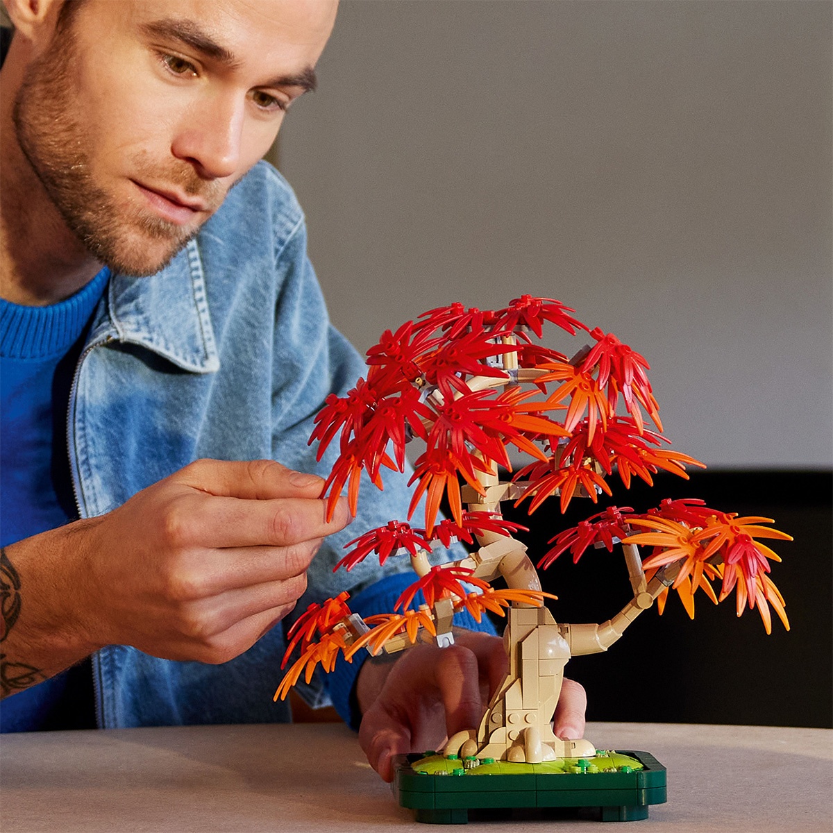 Set LEGO Colectia Botanica - Bonsai de artar japonez rosu (10348) - 1 | YEO