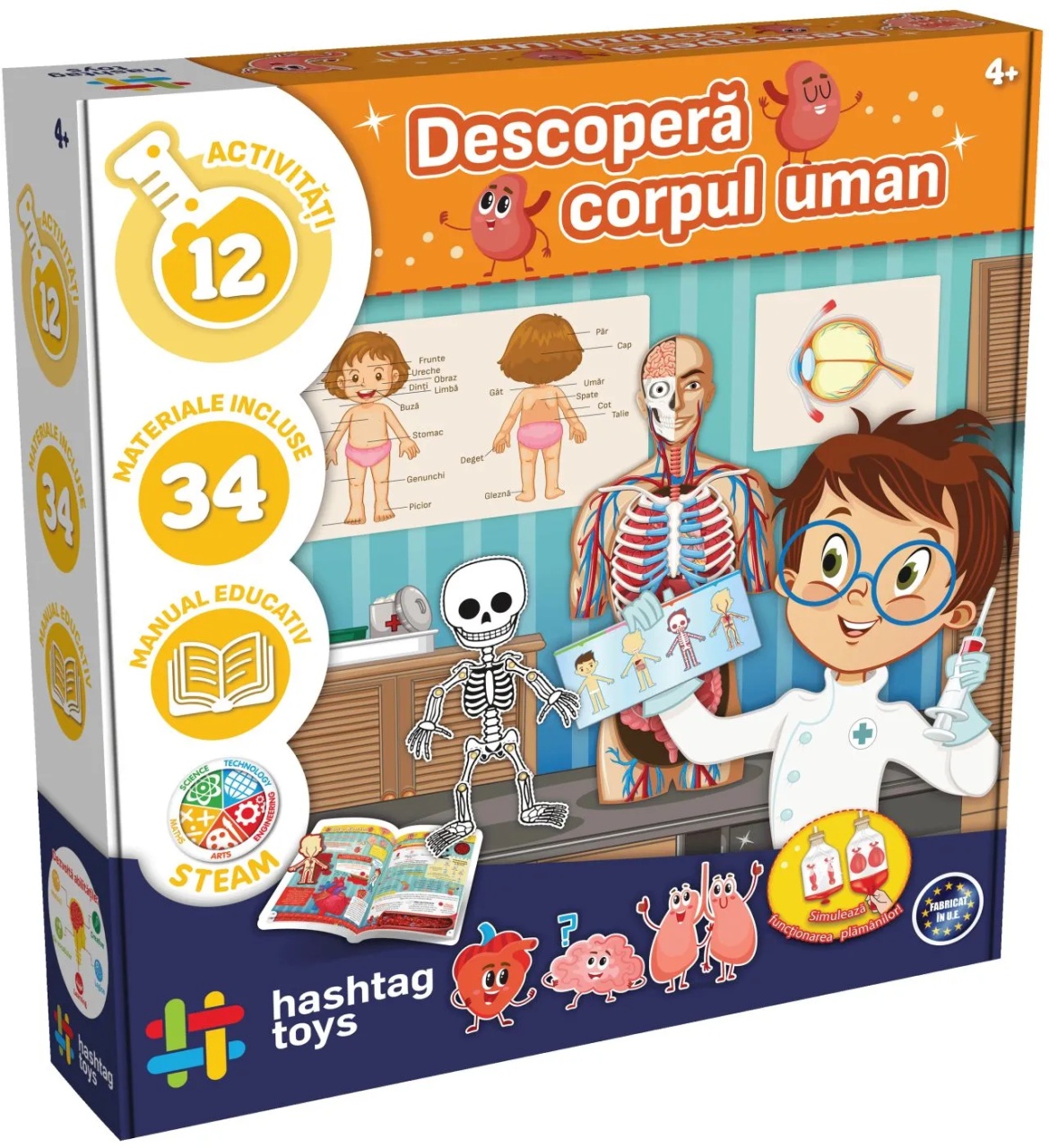 Joc Educativ Descopera Corpul Uman
