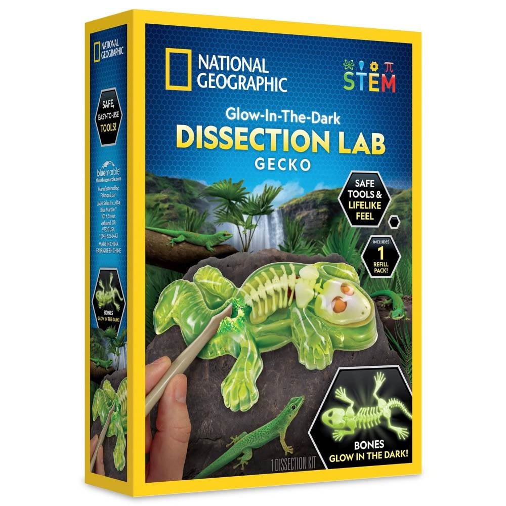 National Geographic - Kit creativ laborator de disectie soparla