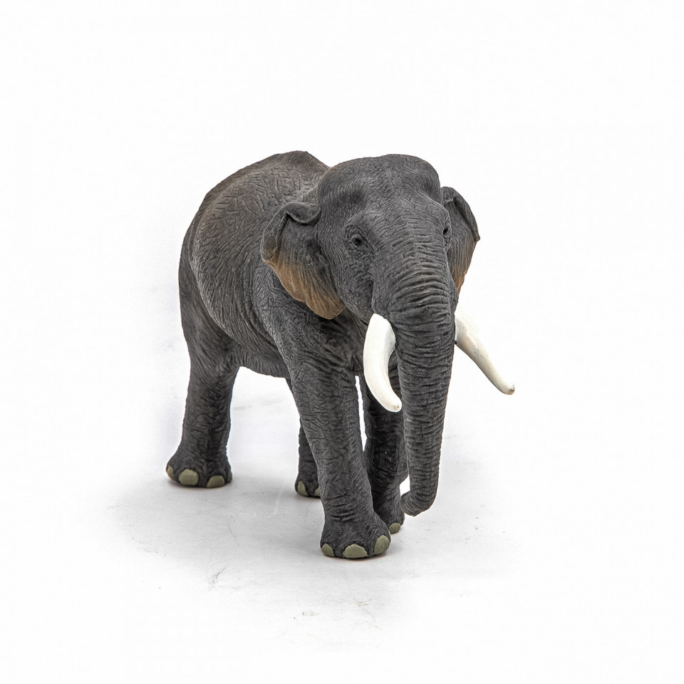 Papo Figurina Elefant Asiatic - 3 | YEO