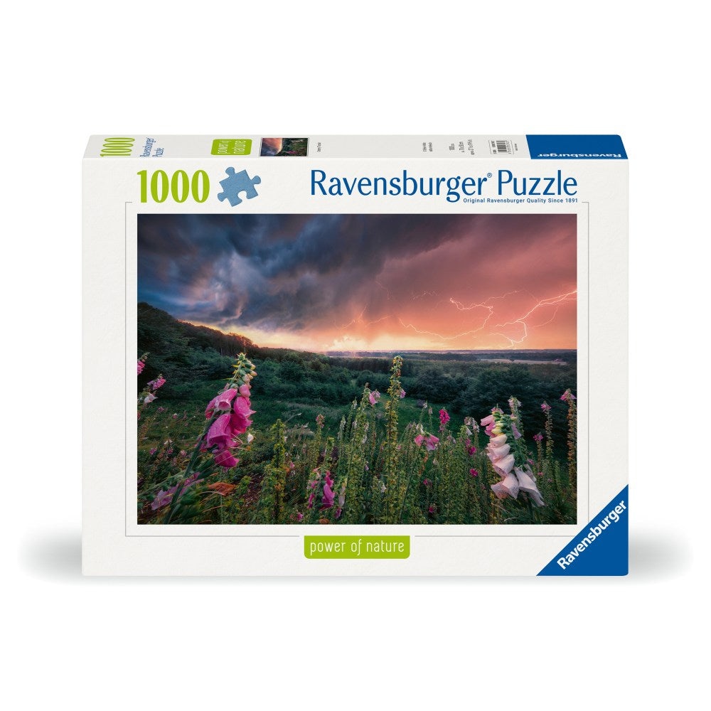 Ravensburger - Puzzle tunete 1000 piese