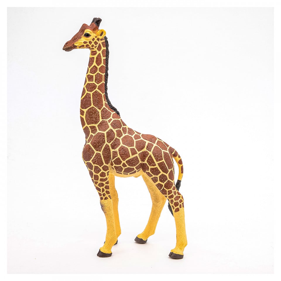 Papo Figurina Girafa Mascul - 1 | YEO