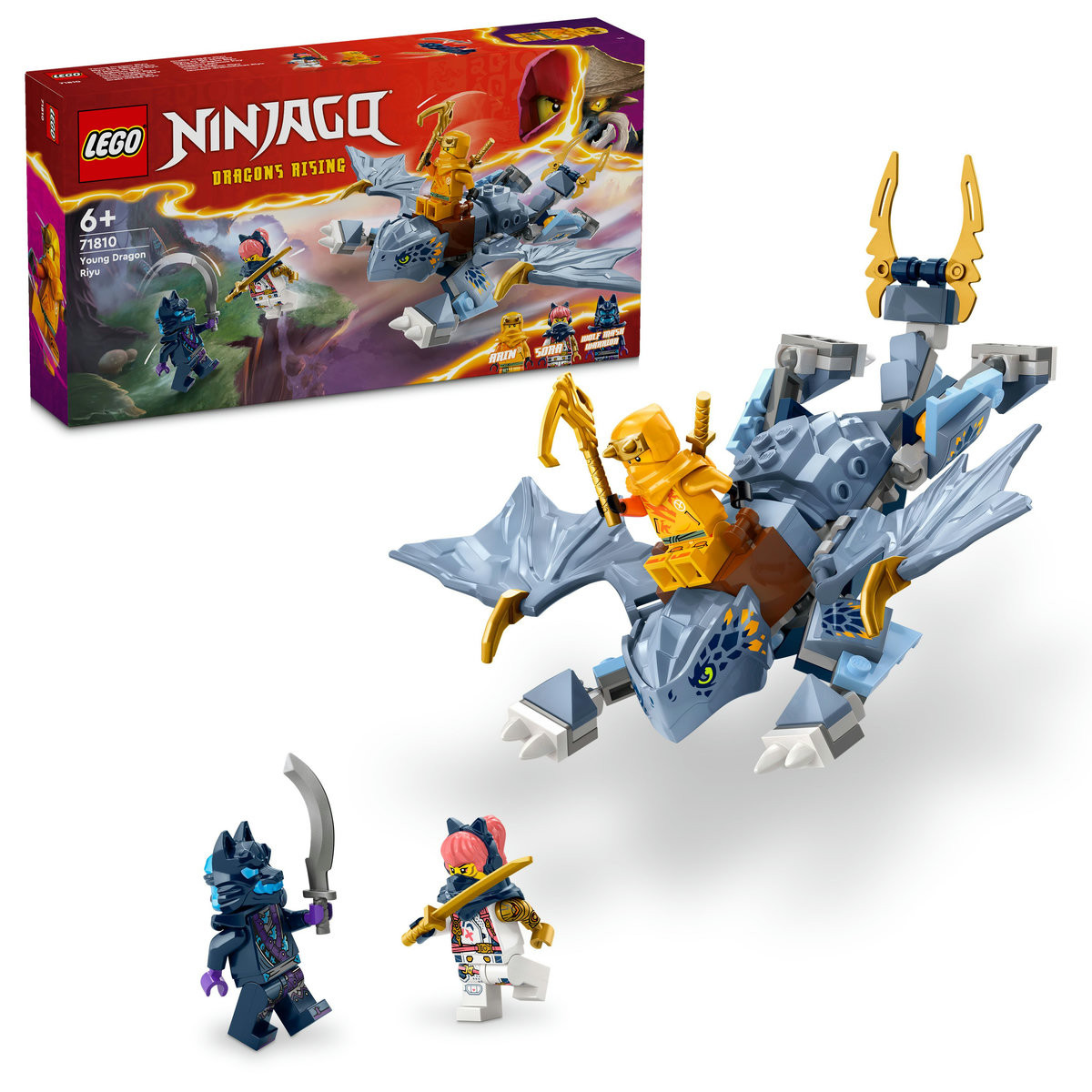 Set LEGO Ninjago - Tanarul dragon Riyu (71810)