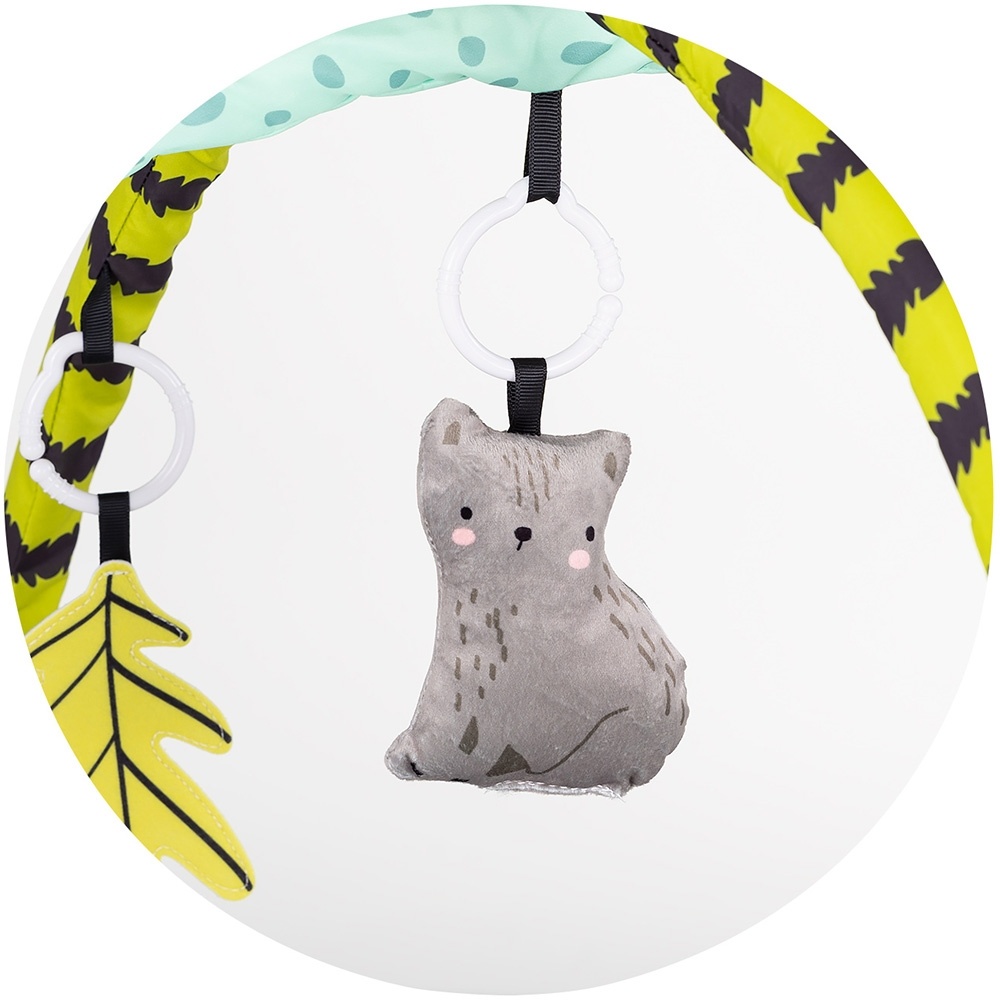 Aceasta este imaginea corespunzatoare acestui obiect