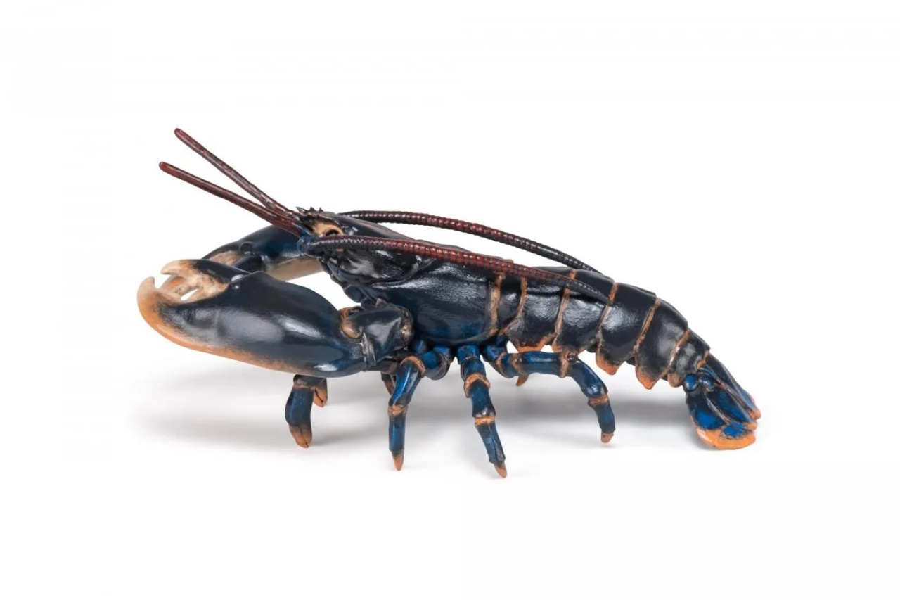 Aceasta este imaginea corespunzatoare acestui obiect