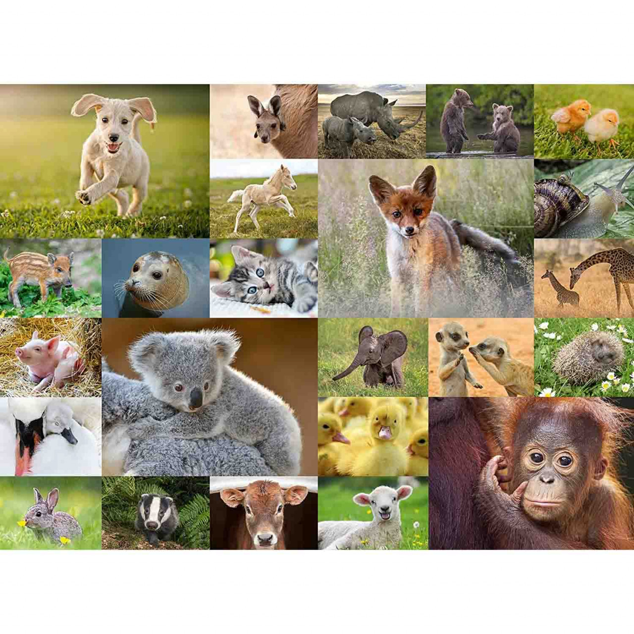 Puzzle Pui De Animale, 200 Piese - 1 | YEO