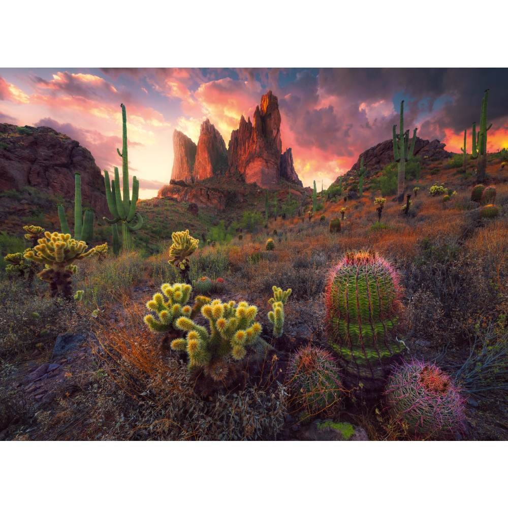 Ravensburger - Puzzle cactusi 500 piese - 2 | YEO