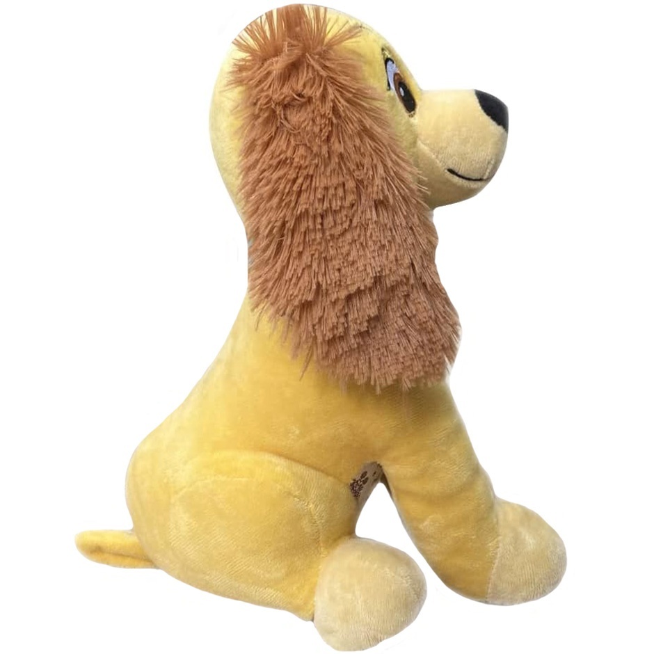 Aceasta este imaginea corespunzatoare acestui obiect