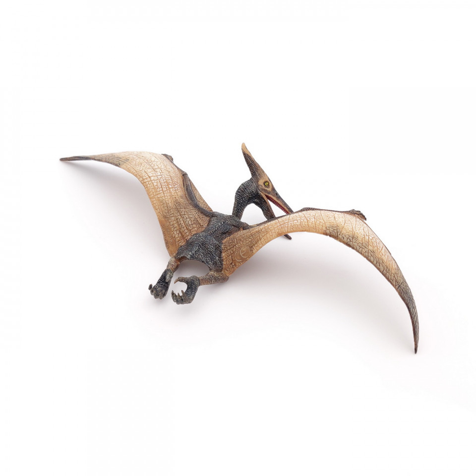 Papo Figurina Dinozaur Pteranodon - 1 | YEO