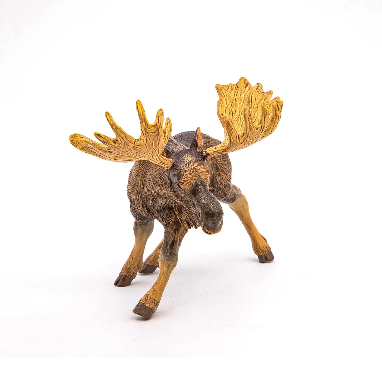 Aceasta este imaginea corespunzatoare acestui obiect