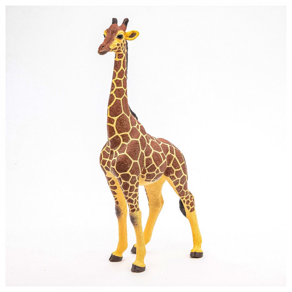 Papo Figurina Girafa Mascul - 2 | YEO