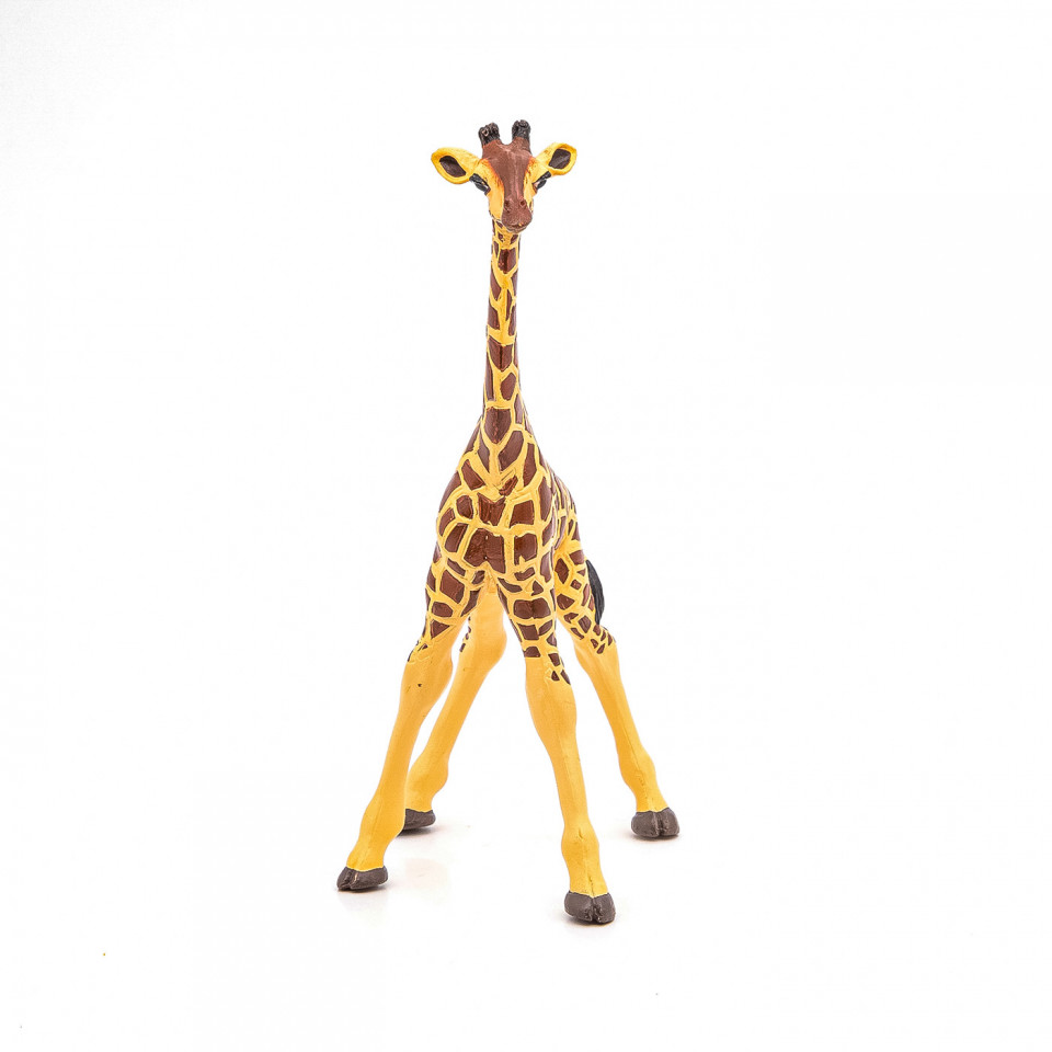 Aceasta este imaginea corespunzatoare acestui obiect