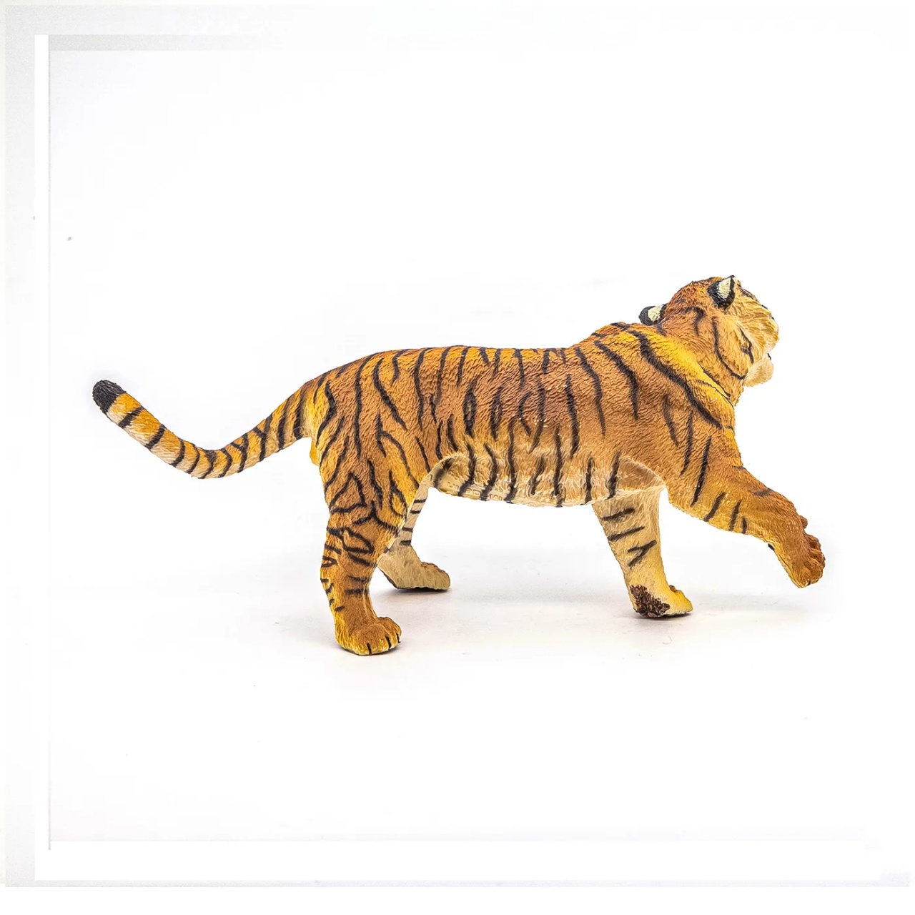 Aceasta este imaginea corespunzatoare acestui obiect