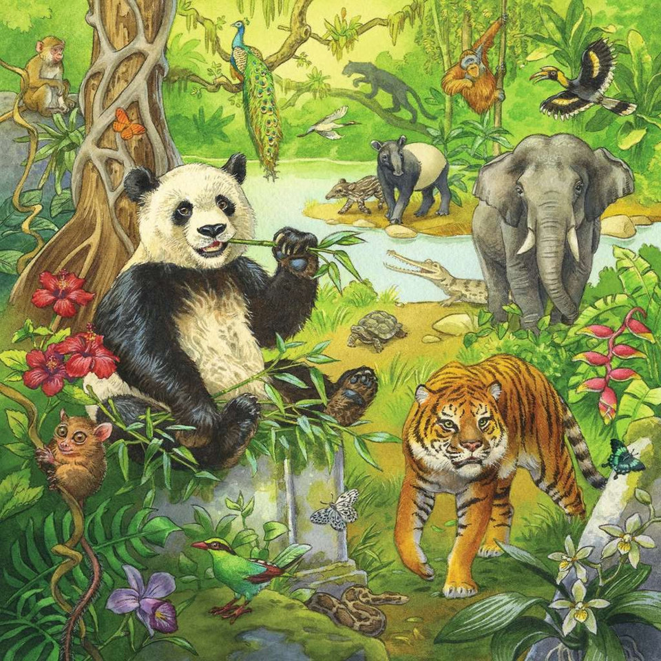 Puzzle Aventuri In Jungla, 3X49 Piese - 3 | YEO