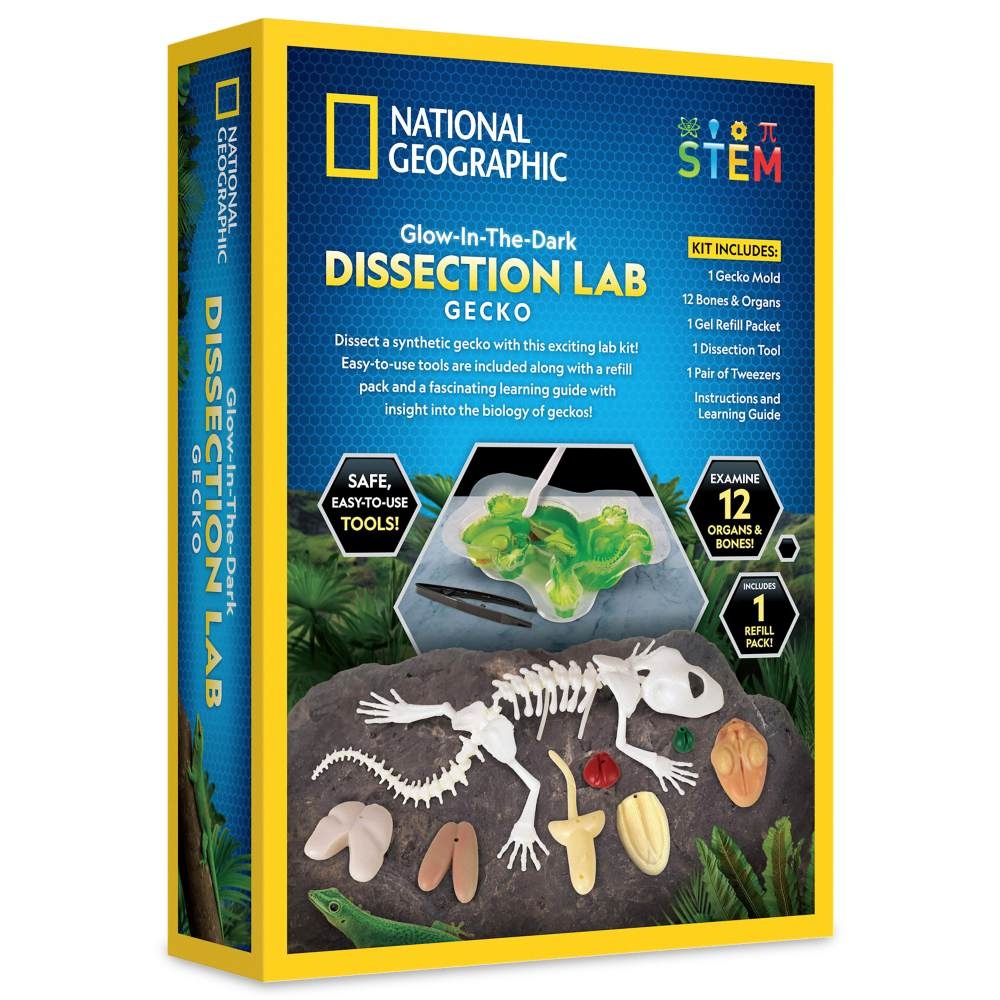 National Geographic - Kit creativ laborator de disectie soparla - 1 | YEO