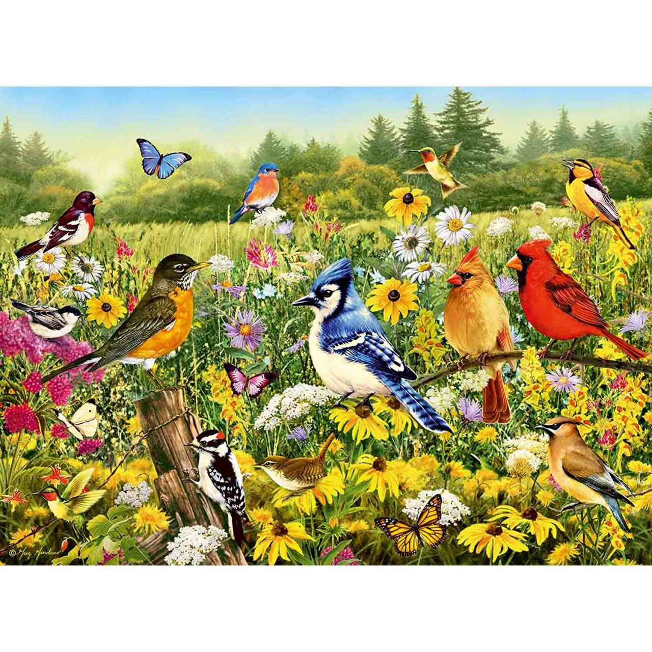 Puzzle Pasarele Colorate, 500 Piese - 1 | YEO