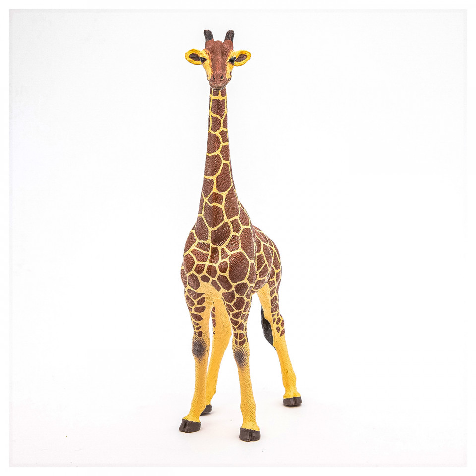 Papo Figurina Girafa Mascul - 3 | YEO