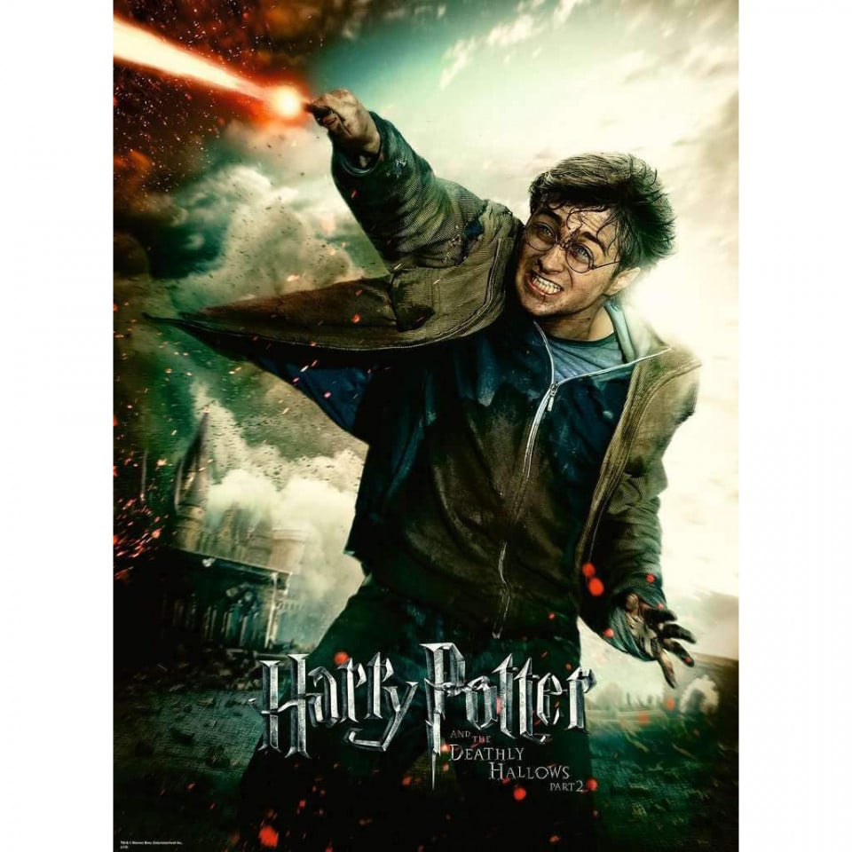 Puzzle Harry Potter, 100 Piese - 1 | YEO