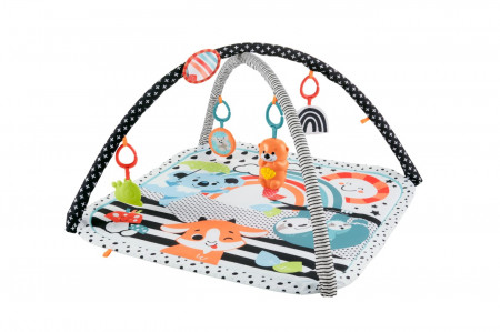 Fisher Price Saltea Muzicala 3 In 1 Cu Centru De Activitati