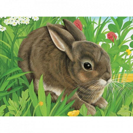 Puzzle In Cutie Animale, 12 Piese