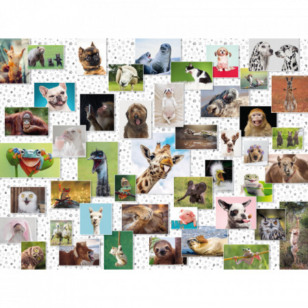 Puzzle Colaj Cu Animale, 1500 Piese