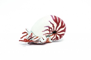 Papo Figurina Nautilus