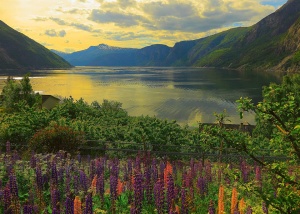 Puzzle Fiord Norvegia, 1000 Piese - Img 3