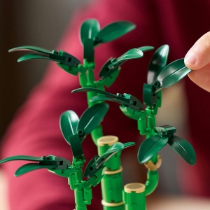 Set LEGO Creator Expert - Bambus norocos (10344) - Img 5