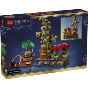 Set LEGO Harry Potter - Plante pentru ora de ierbologie de la Hogwarts (76474) - Img 3