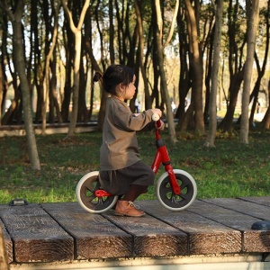 Balance bike QPlay Trainer Rosu - Img 6