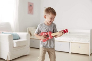 Hape Set Mini Formatie - Img 5