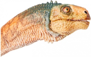 Papo Figurina Dinozaur Chilesaurus - Img 2