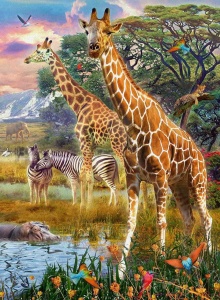 Puzzle Girafe In Africa, 150 Piese - Img 2